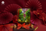 Terrarium Tết