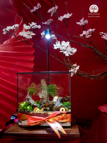 Terrarium Kim Mão Tài Lộc | Bể Chữ Nhật - Trang Trí Tết An Nhiên