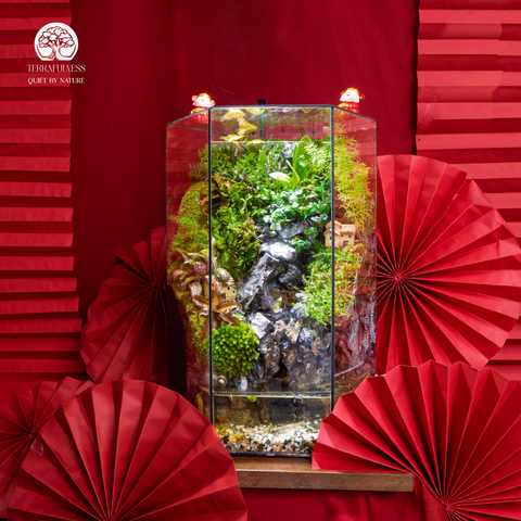 Terrarium Hồng Niên Thác Vũ – Dòng Chảy Tài Lộc Cho Năm Mới An Khang
