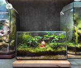 Terrarium