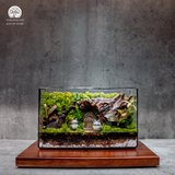 Terrarium