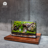 Terrarium
