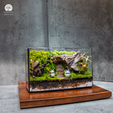 Terrarium