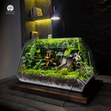 Terrarium