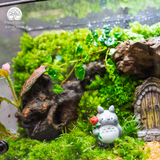 Terrarium