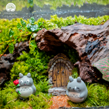 Terrarium