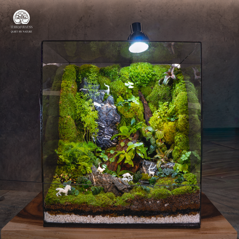 Terrarium Celestial Beast Forest | Trụ Vuông Decor Phòng Khách