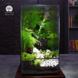 Terrarium