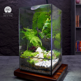 Terrarium