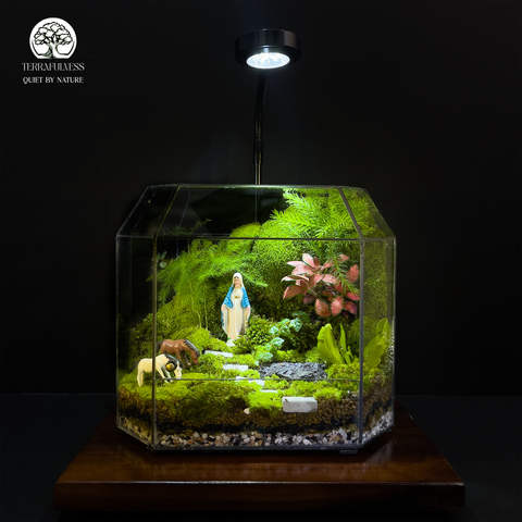 Terrarium Lối Nhỏ An Lành - Bể Đa Giác - Mang Hơi Thở Thiền Và Bình Yên