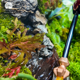 Terrarium Linh Thạch Khai Sơn | Bể Đa Giác Trang Trí Không Gian Sống