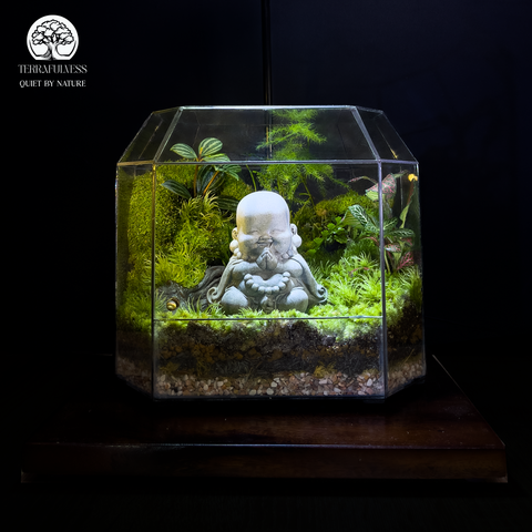 Terrarium An Nhiên - Bể Đa Giác - Quà Tặng Và Trang Trí Nhà Cửa
