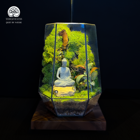 Terrarium Lặng - Bể Đa Giác - Trang Trí Không Gian