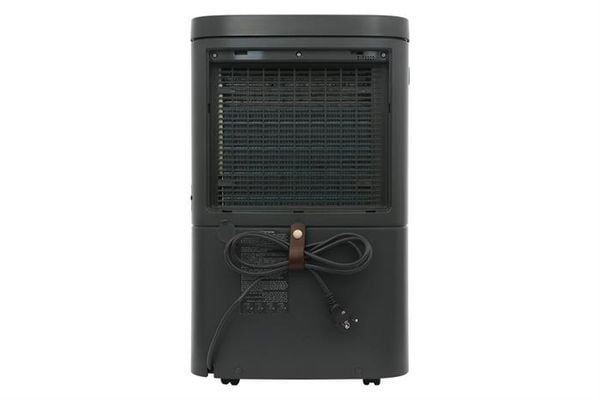 Máy hút ẩm kết hợp lọc không khí Electrolux EDH16TRBD3