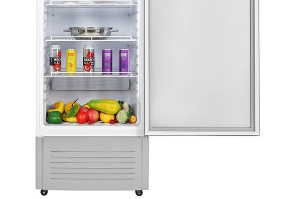 Tủ mát Hoà Phát 242 lít HSR S6242