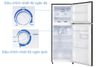 Tủ lạnh Funiki 209 lít HR-T6209TDG