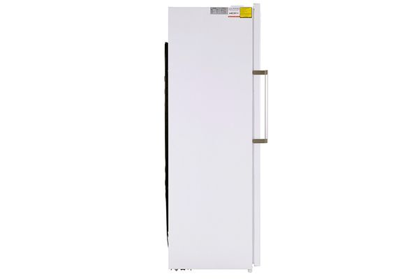 Tủ đông Alaska 290 lít IF-29