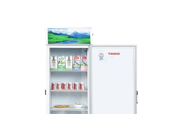 Tủ Mát Sanaky Inverter 480 Lít VH-5089K3