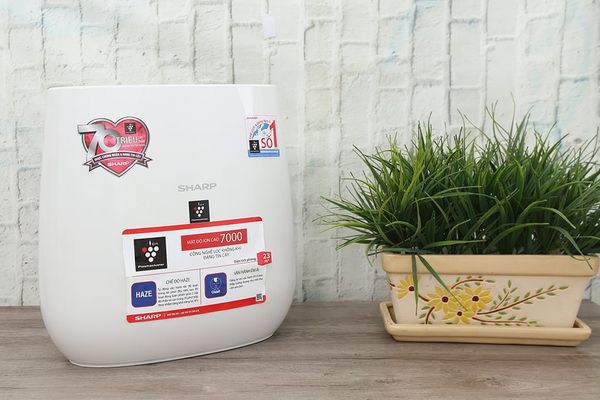 Máy lọc không khí Sharp FP-J30E-P