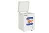 Tủ đông Hòa Phát 107 Lít HPF AD6107
