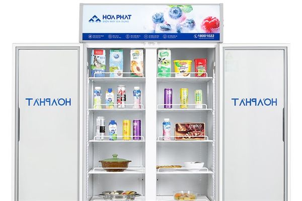 Tủ mát Hòa Phát 723 lít HSR D6723