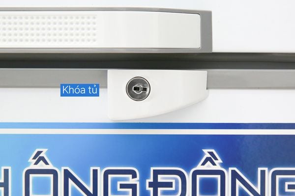 Tủ đông Alaska 250 lít BCD-3068C