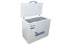 Tủ đông Alaska 300 lít BD-300