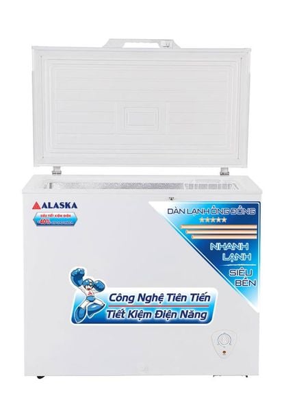 Tủ đông Alaska 300 lít BD-300C