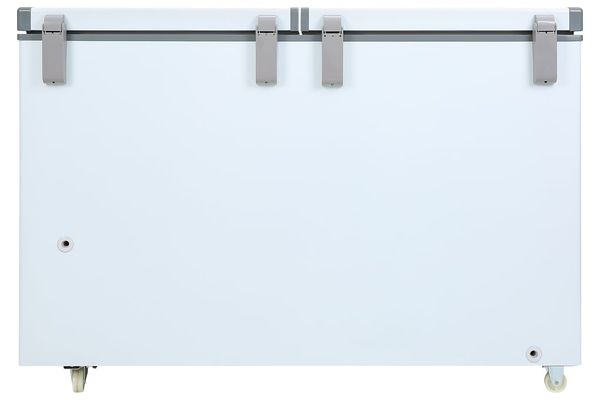 Tủ đông Darling 260 lít DMF-3999 W2