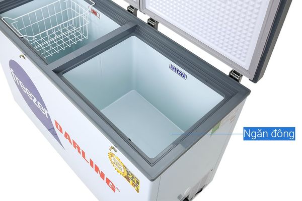 Tủ đông Darling 260 lít DMF-3999 W2