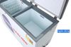 Tủ đông Darling 260 lít DMF-3999 W2
