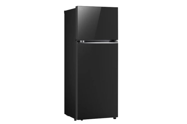 Tủ lạnh LG 2 cánh Inverter 461 lít LTB46BLG