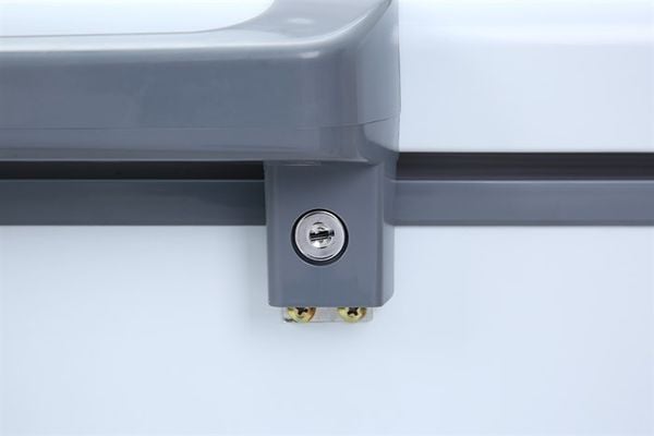 Tủ đông Darling Inverter 260 lít DMF-3699-WSI-4