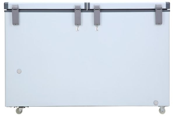 Tủ đông Darling Inverter 260 lít DMF-3699-WSI-4