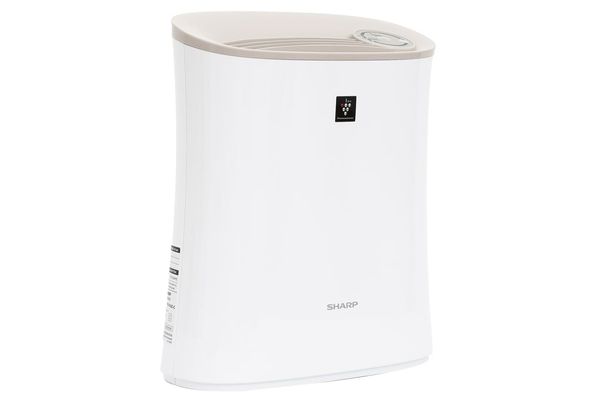 Máy lọc không khí Sharp FP-F30E-C