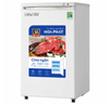 Tủ đông đứng 106 lít Hòa Phát HPF UAH6106