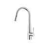 Vòi rửa bát Hafele HT21-CH1P245 Hafele 577.55.220