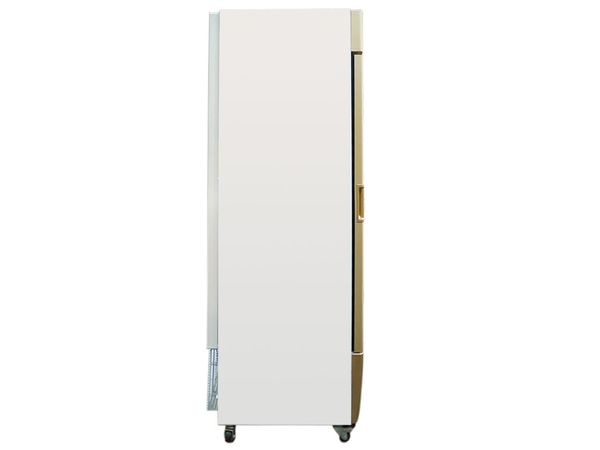 Tủ đông đứng 1 cánh Alaska 350 lít IF-350G