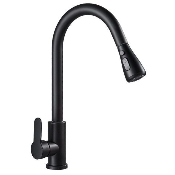 Vòi rửa 2 đường nước Roslerer RL-805 Black