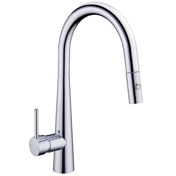 Vòi rửa 2 đường nước cao cấp Roslerer RL-968