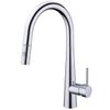 Vòi rửa 2 đường nước cao cấp Roslerer RL-968