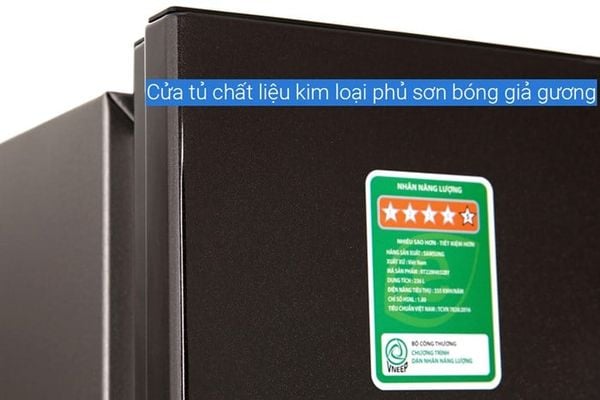 Tủ lạnh Samsung Inverter 2 cánh 236 lít RT22M4032BY/SV