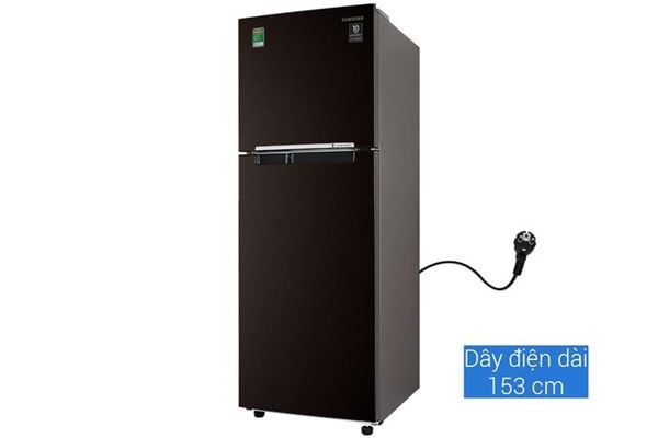 Tủ lạnh Samsung Inverter 2 cánh 236 lít RT22M4032BY/SV