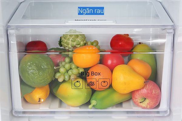 Tủ lạnh Samsung Inverter 2 cánh 236 lít RT22M4032BY/SV