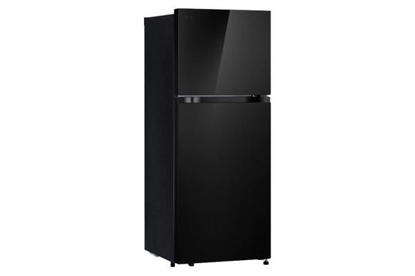 Tủ lạnh LG Inverter 217 lít T21BG