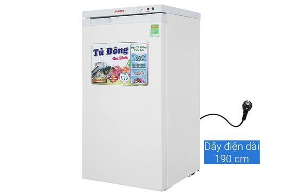 Tủ đông Sanaky 118 lít VH-160VD