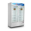 Tủ đông đứng Alaska IF-700G2