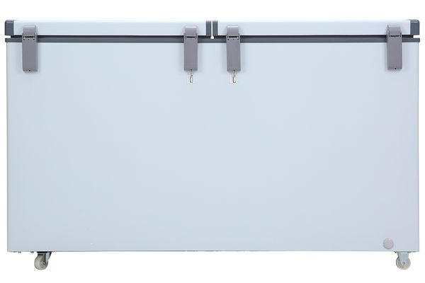 Tủ đông Darling Inverter 360 lít DMF-4799ASI