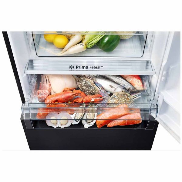 Tủ lạnh Panasonic Inverter 380 lít NR-BX421XGKV