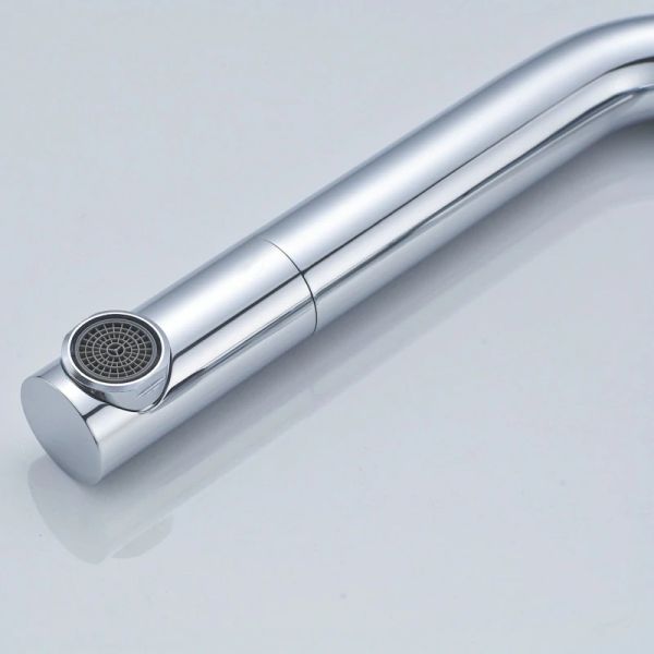 Vòi rửa 2 đường nước Roslerer RL-902